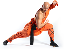 Want to learn Kung Fu? Try our new online courses